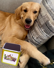 Load image into Gallery viewer, PetCalm