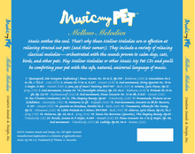 Load image into Gallery viewer, Back panel CD cover